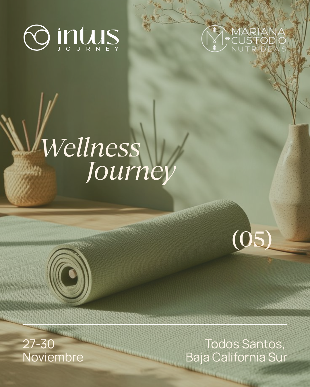 Wellness Journey