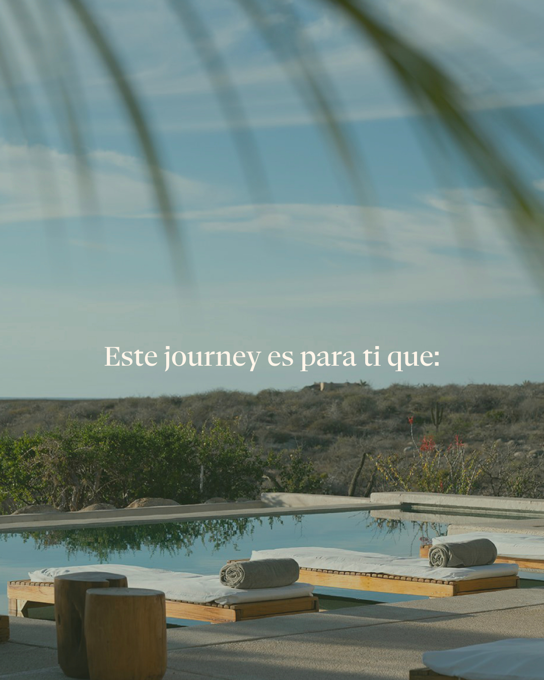 Wellness Journey