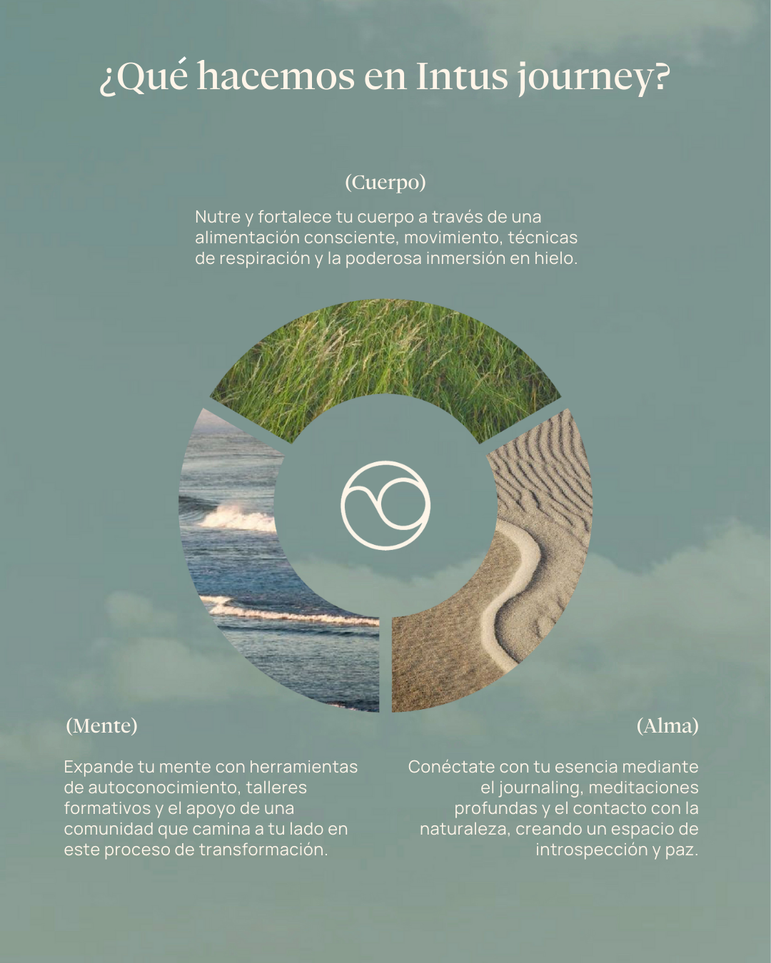 Wellness Journey