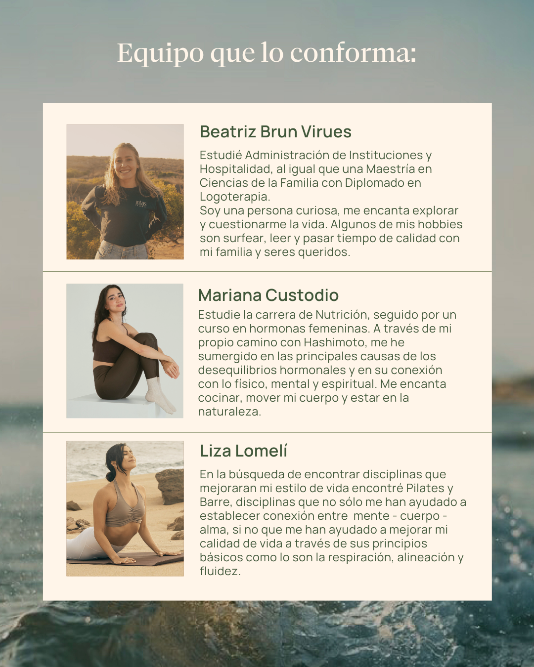 Wellness Journey