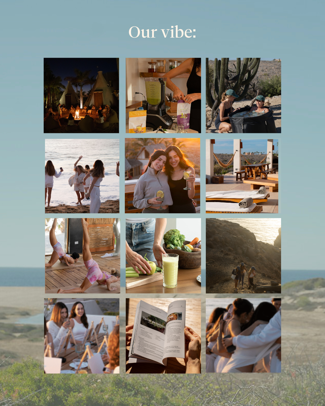 Wellness Journey