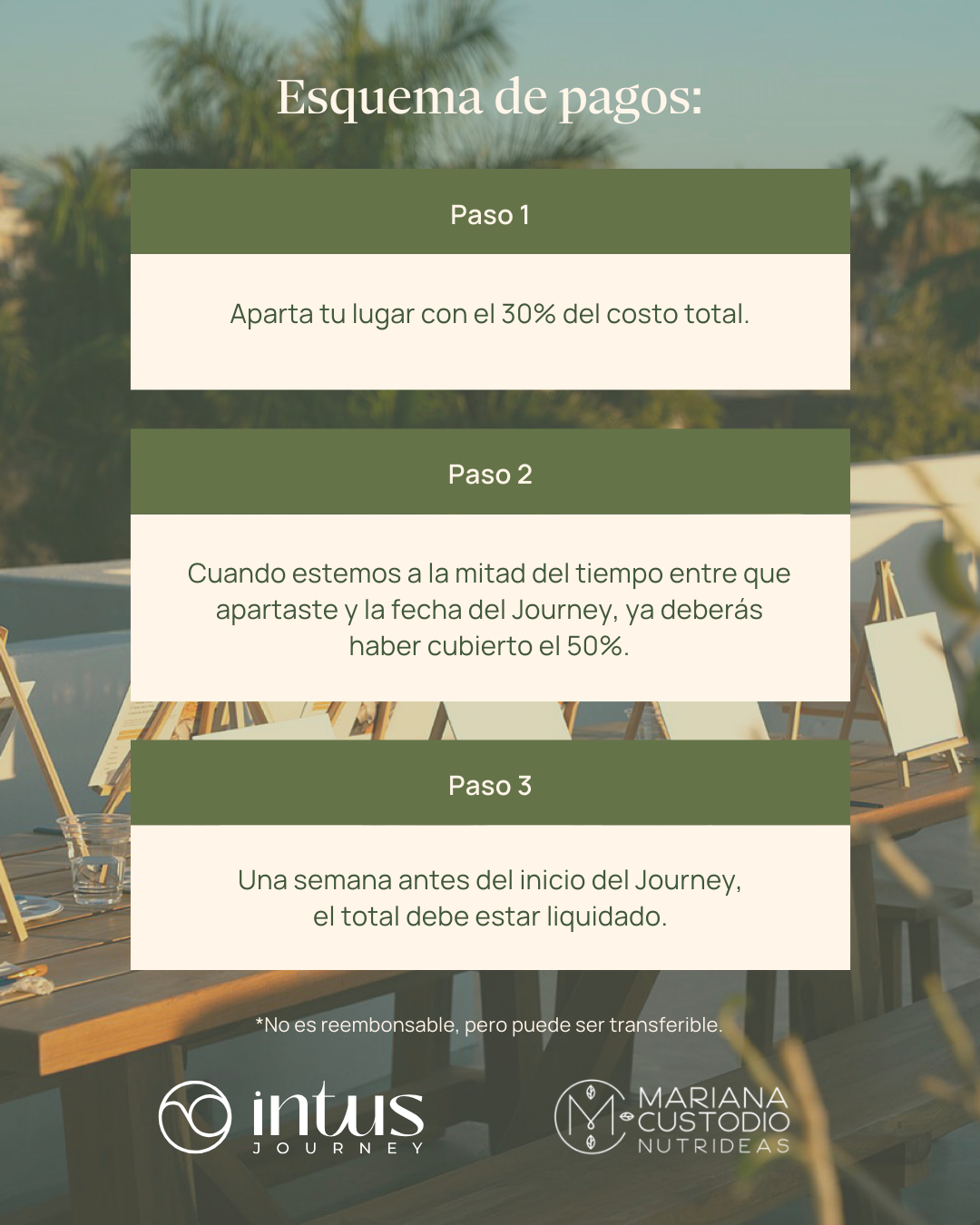 Wellness Journey