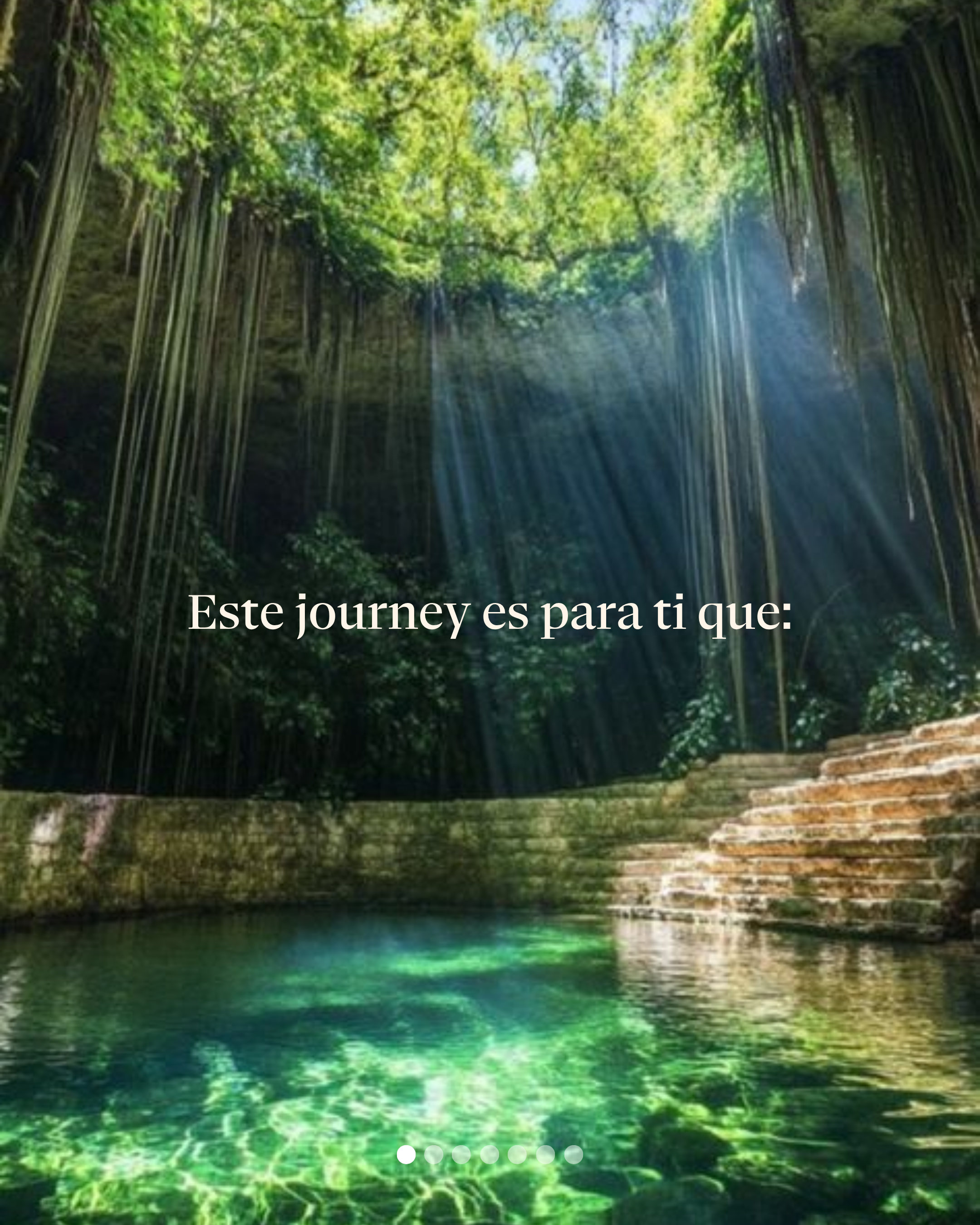 Wellness Journey 2