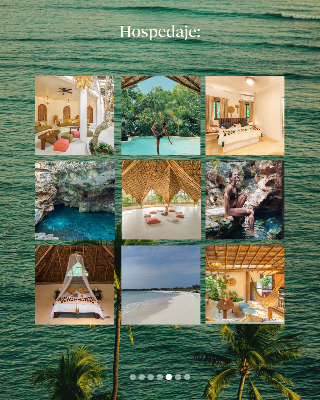 Wellness Journey 2