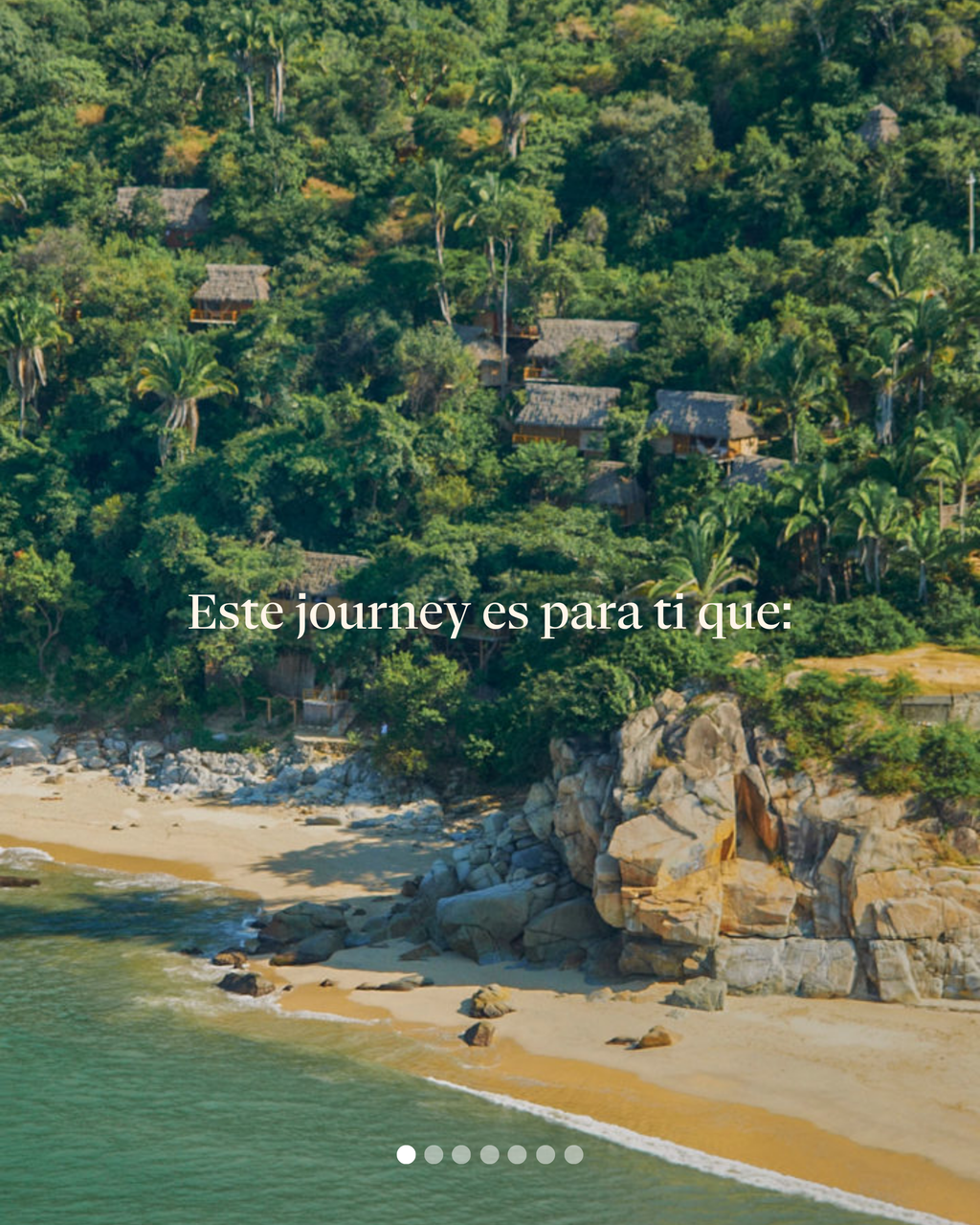 Wellness Journey
