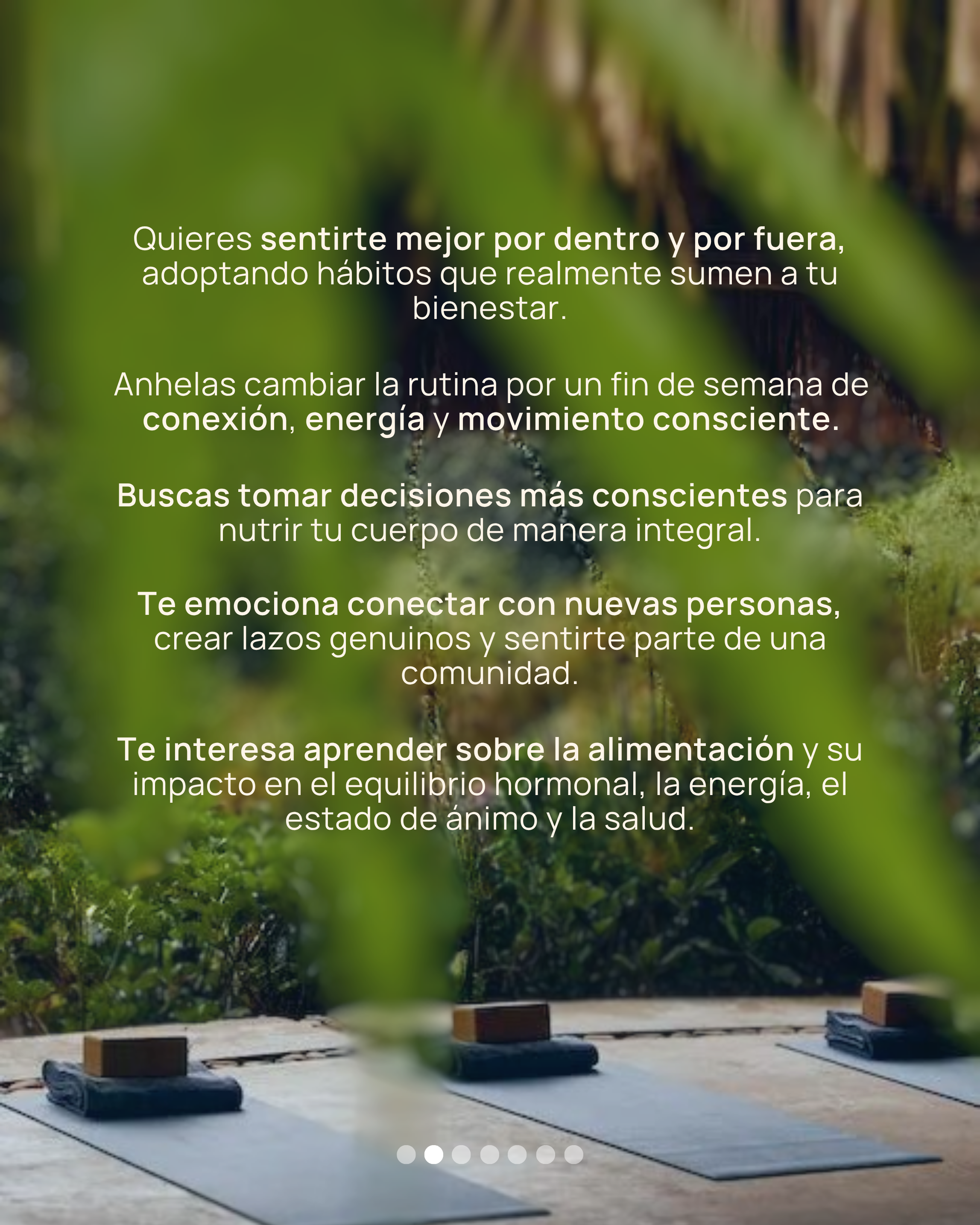 Wellness Journey
