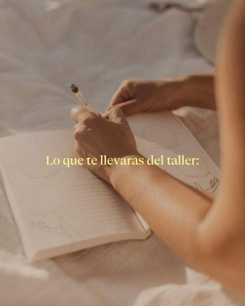 Lo que aprendí este año