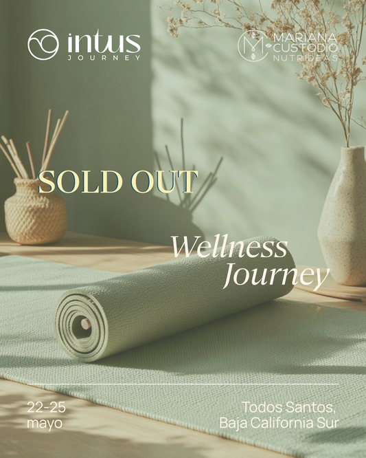 Wellness Journey