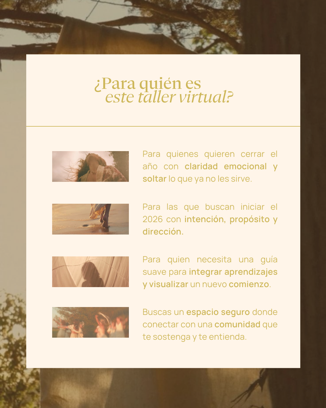 Lo que aprendí este año