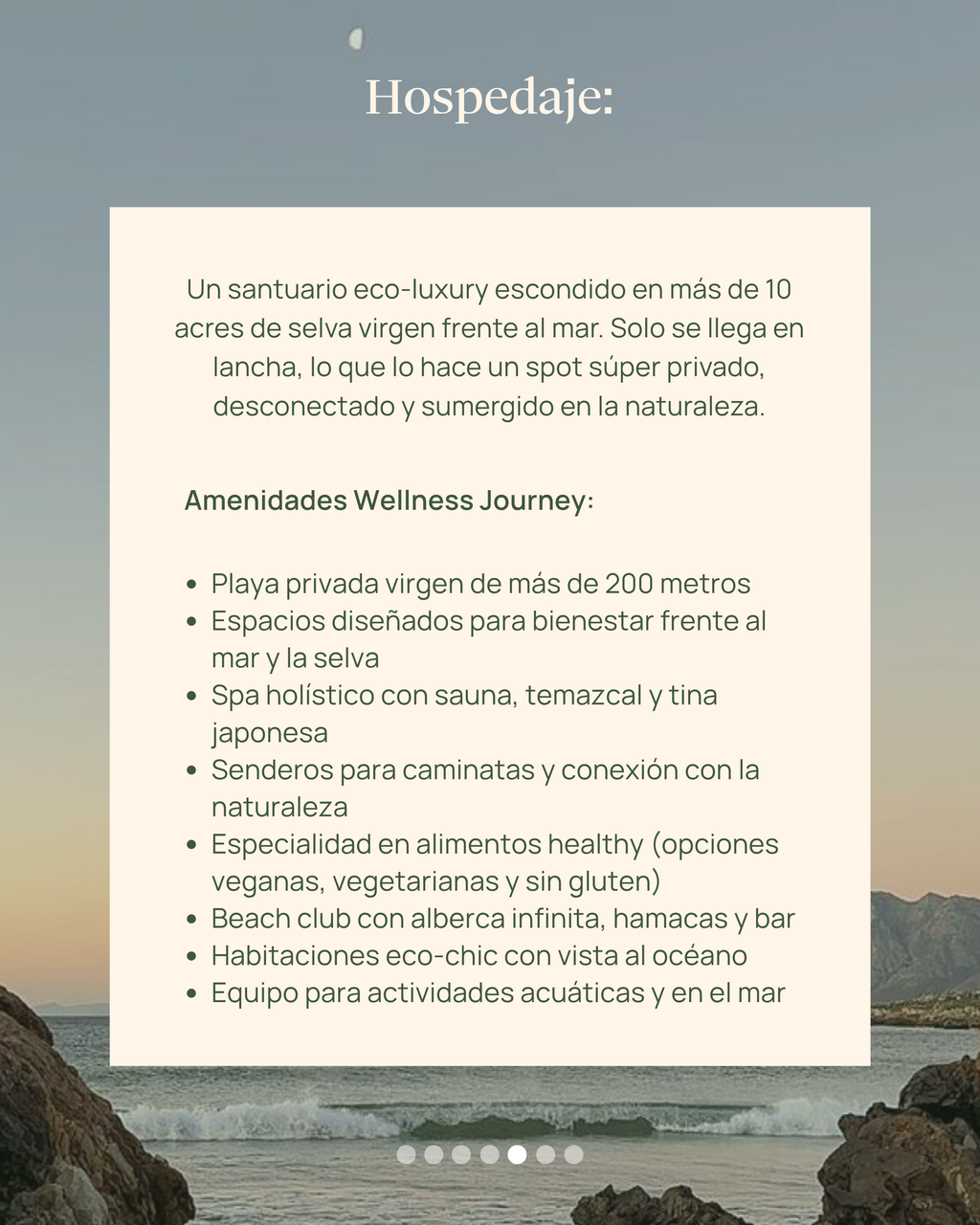 Wellness Journey