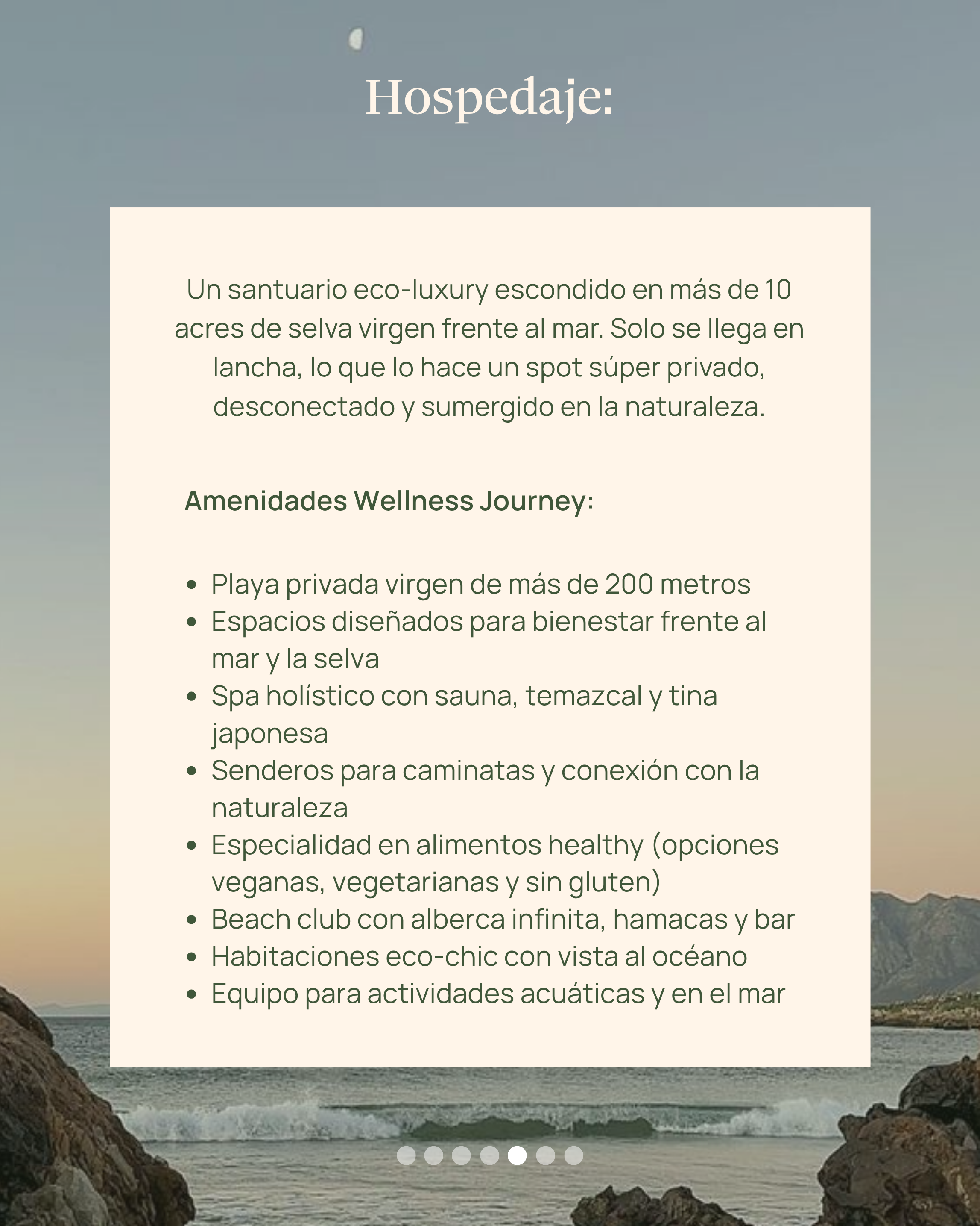 Wellness Journey
